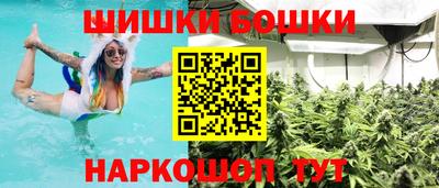 гидра Славгород