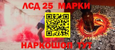 гидра Славгород