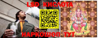 гидра Славгород