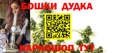 ешки Сланцы