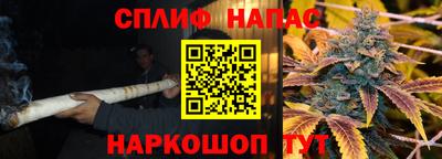 гидра Славгород